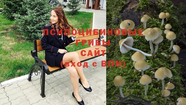 соль ск Инта