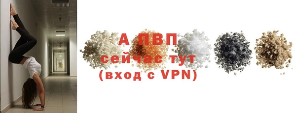 соль ск Инта