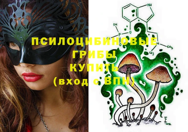 твердый Инсар