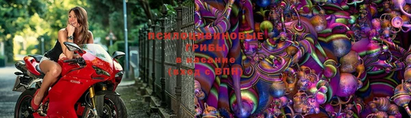 соль ск Инта