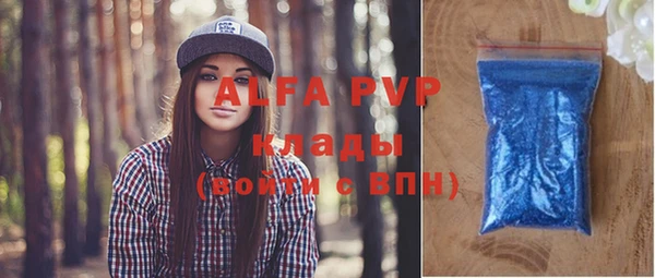 твердый Инсар