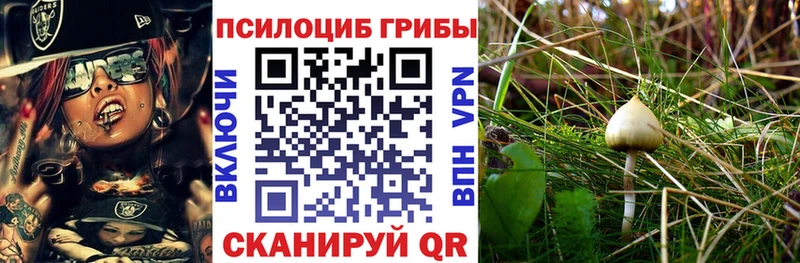 Купить  Луховицы  Псилоцибиновые грибы Magic Shrooms 